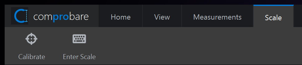 Scale ribbon tab with Calibrate and Enter Scale buttons