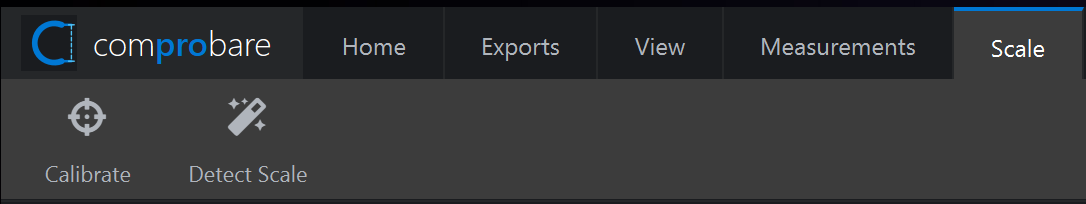 The Scale tab with Calibrate and Detect Scale buttons